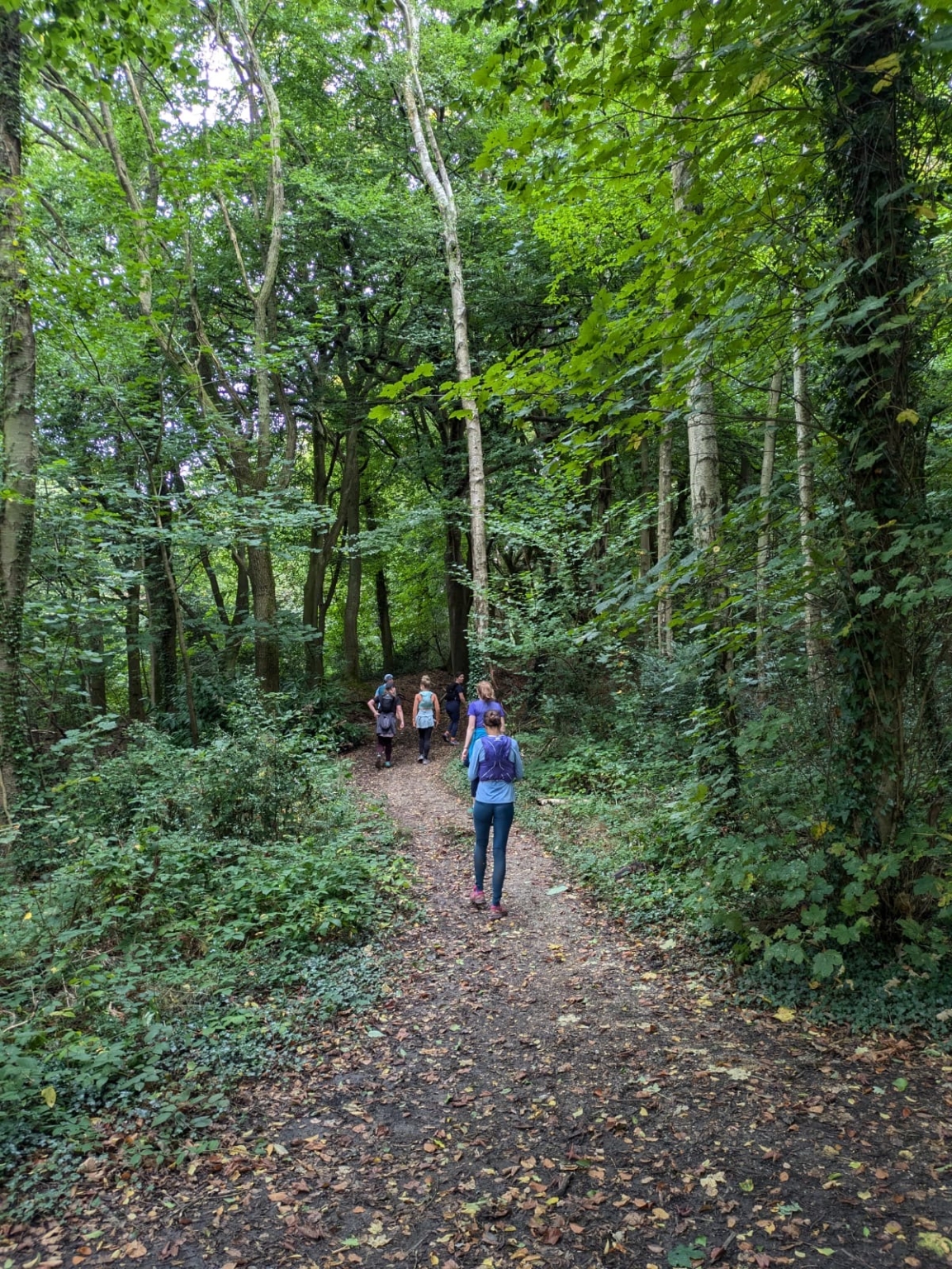 July Trail Run on South Downs Serpentine Running Club